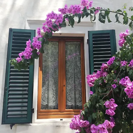 B&B La Bouganville