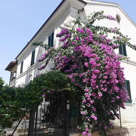 Panzió La Bouganville